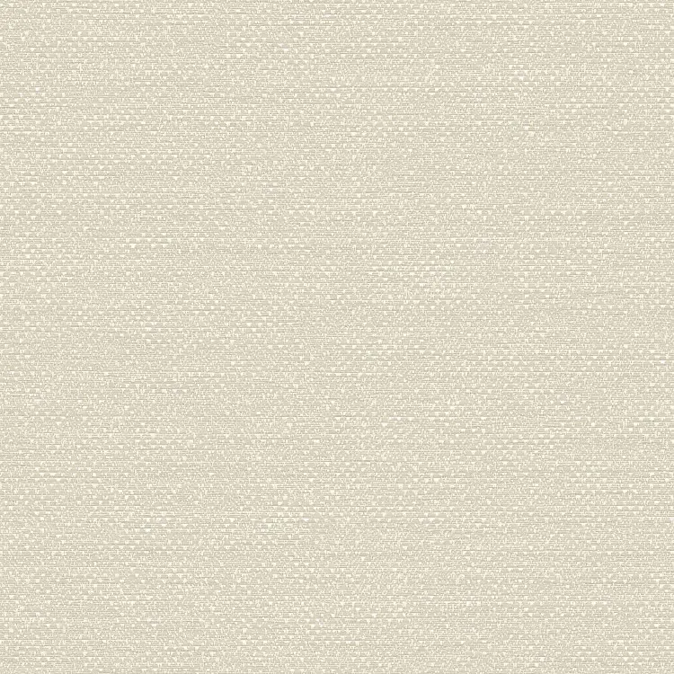 ab017-queenland-blackout-02-bone